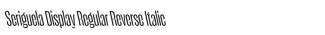 Seriguela Display Regular Reverse Italic